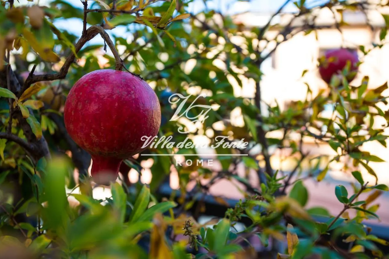 Villa Della Fonte Roma Bed and breakfast